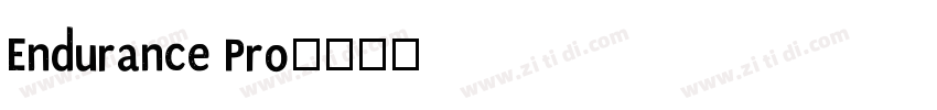 Endurance Pro字体转换